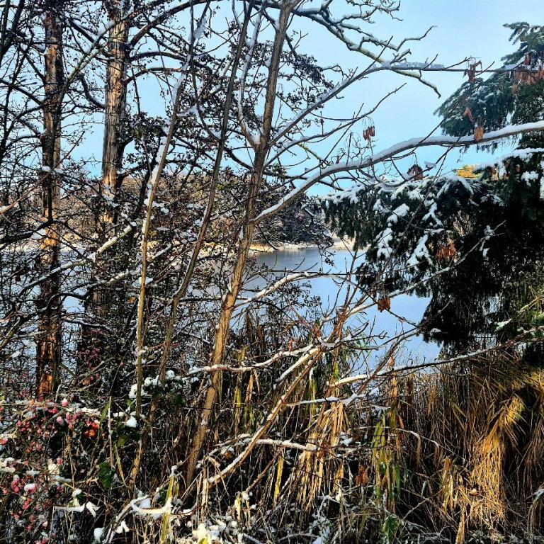 07_[22.11.24] 102151