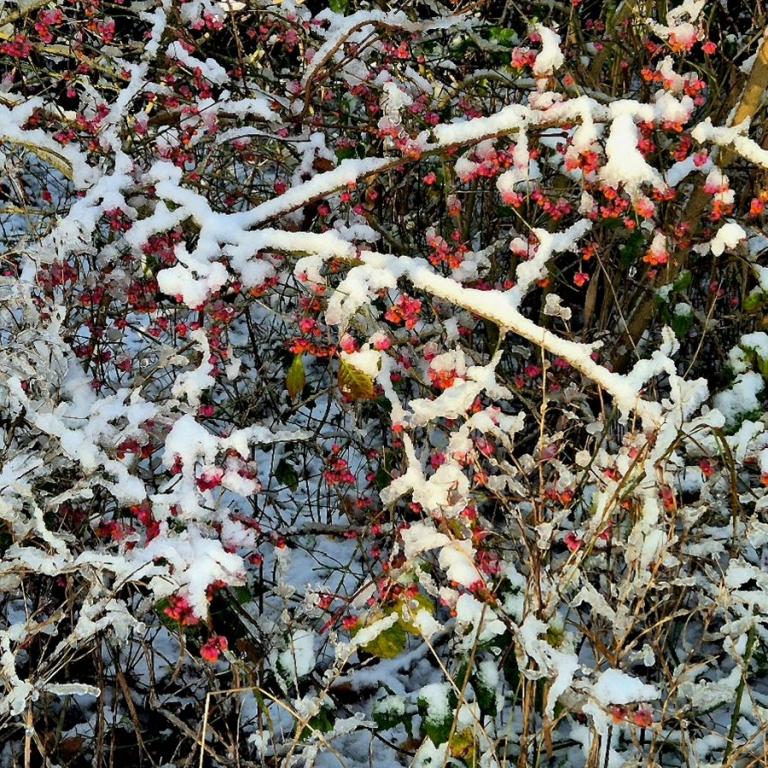 08_[22.11.24] 102200