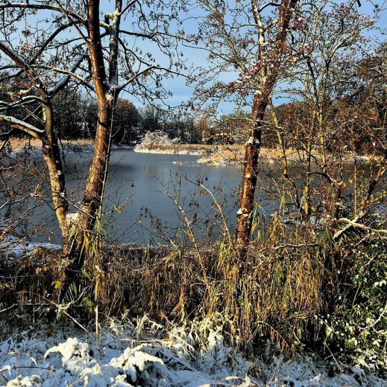 11_[22.11.24] 102330