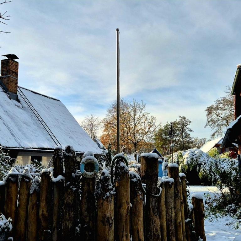 14_[22.11.24] 103008