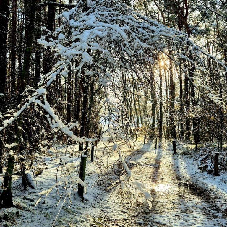 15_[22.11.24] 103229