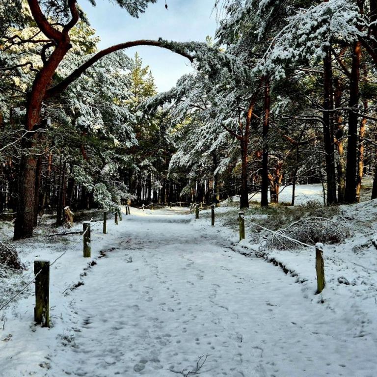 16_[22.11.24] 103349