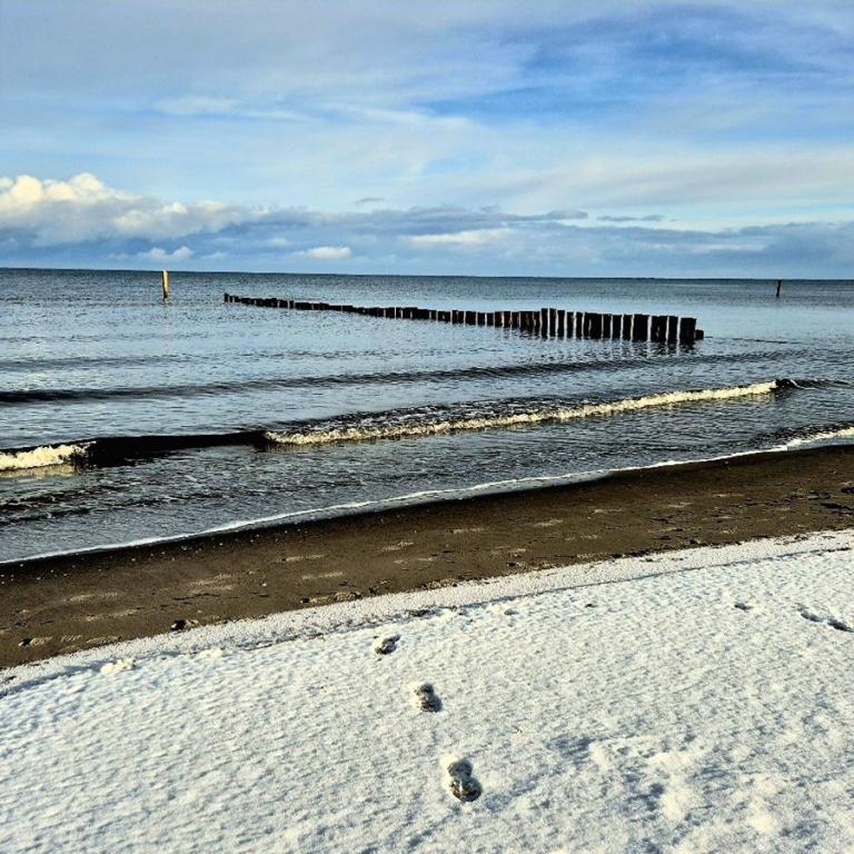 21_[22.11.24] 103835