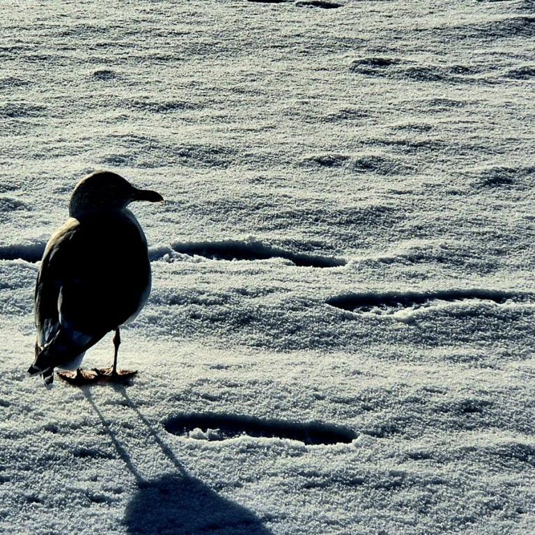 23_[22.11.24] 104907