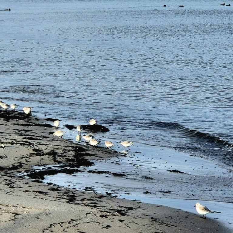 26_[22.11.24] 110106