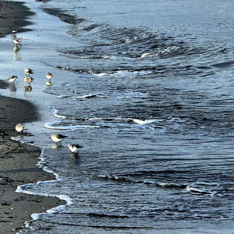 27_[22.11.24] 110201