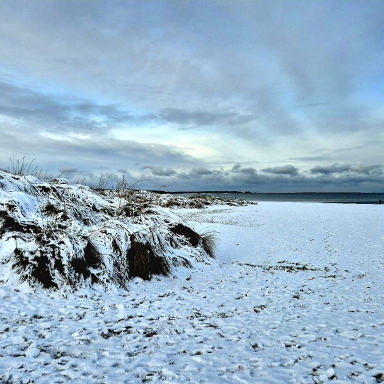 29_[22.11.24] 110832