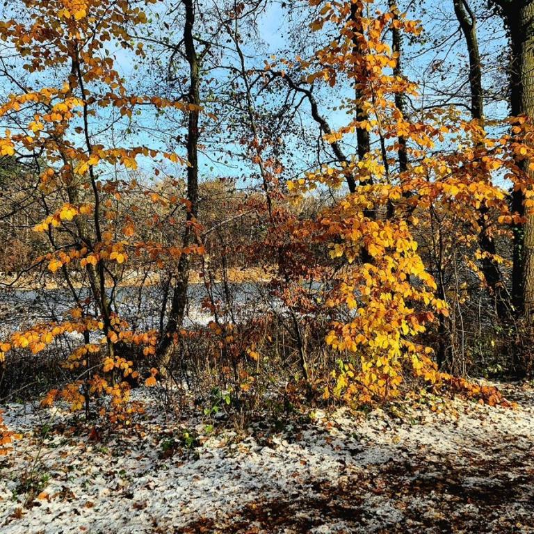 34_[22.11.24] 112858