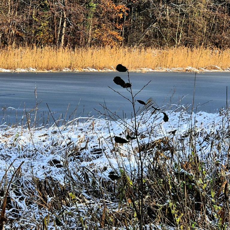 35_[22.11.24] 112947