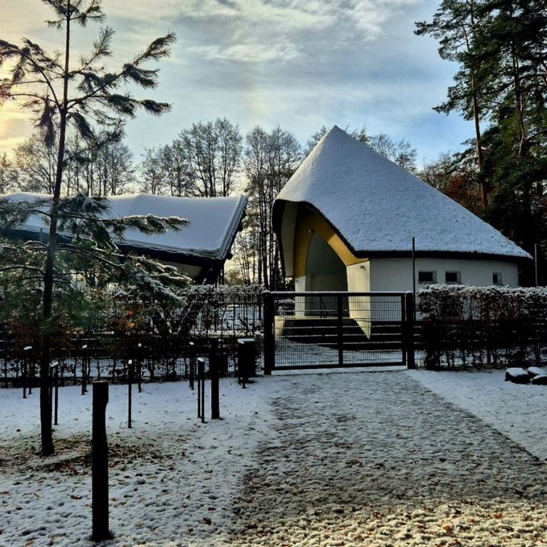 36_[22.11.24] 112958