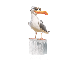 03_Möwe März
