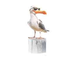 11_Möwe Nov