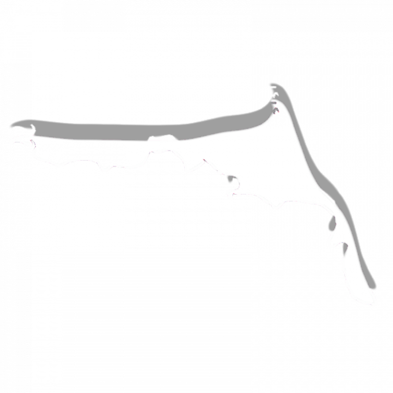 Umriss FDZ_RS_mS_weiss